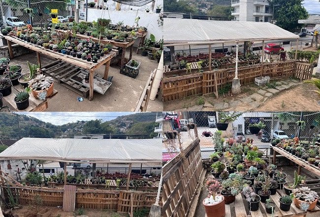 Decoração e Paisagismo: A beleza e os bons preços da Garden Casa Flor