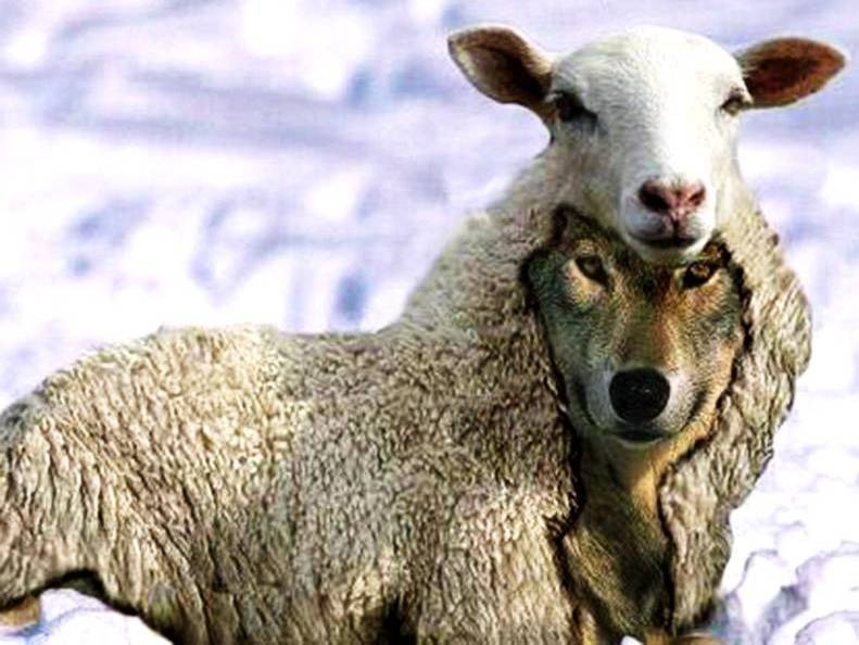 Falso Pastor, herege e vigarista está 