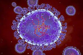 OMS diz que Metapneumovírus que causa surto na China é conhecido e que até o momento não há motivo para preocupação