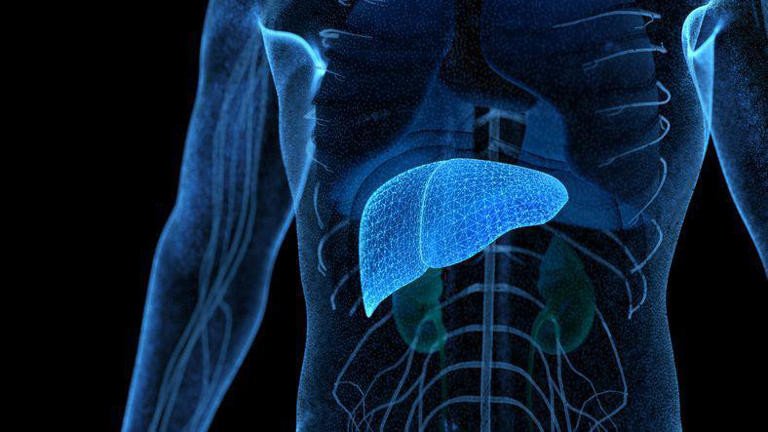 Países de primeiro mundo proíbem o uso da NIMESULIDA por danos fulminantes ao Fígago. Anti Inflamatório é um dos mais vendidos no Brasil