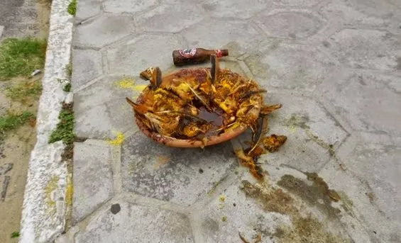 Imagem meramente ilustrativa