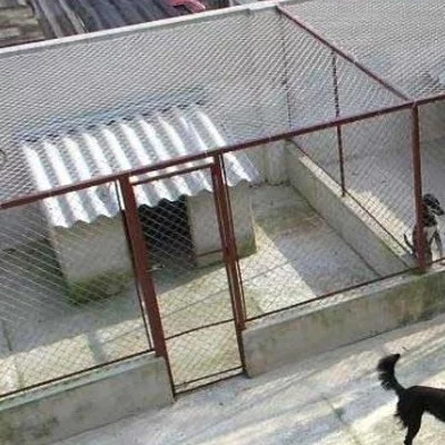 Prefeitura vai construir o canil resolvendo o problema dos cães abandonados