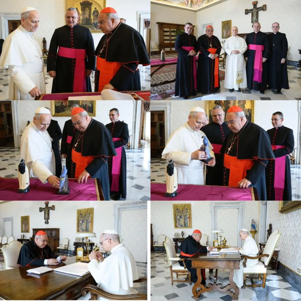 CARDEAL ORANI JOÃO TEMPESTA TEVE AUDIÊNCIA PRIVADA COM O PAPA LEÃO, NO VATICANO