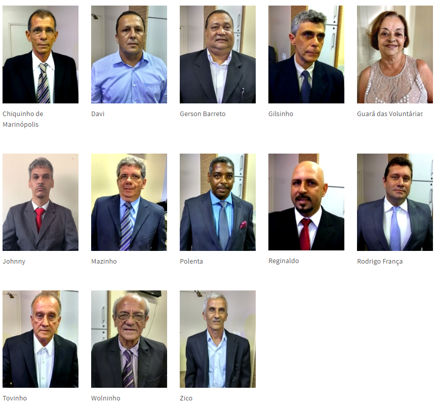 Análise: Doze dos treze Vereadores são candidatos a reeleição. Serão reeleitos. O eleitor decidirá